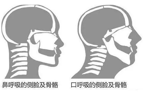 &#36125;&#21338;&#38598;&#22242;&#23448;&#32593;&#40;&#20013;&#22269;&#41;&#23448;&#26041;&#32593;&#31449;