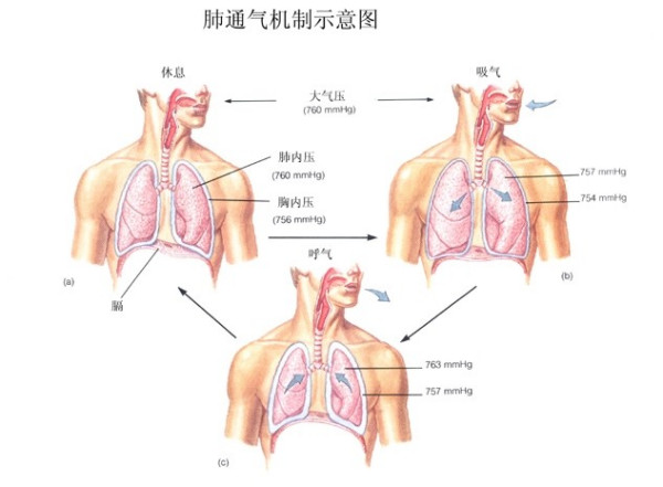 &#36125;&#21338;&#38598;&#22242;&#23448;&#32593;&#40;&#20013;&#22269;&#41;&#23448;&#26041;&#32593;&#31449;