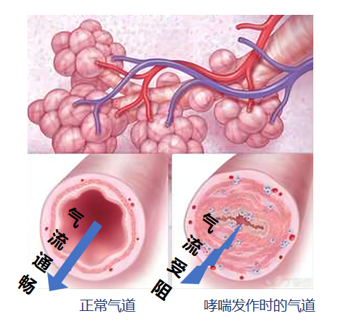 &#36125;&#21338;&#38598;&#22242;&#23448;&#32593;&#40;&#20013;&#22269;&#41;&#23448;&#26041;&#32593;&#31449;