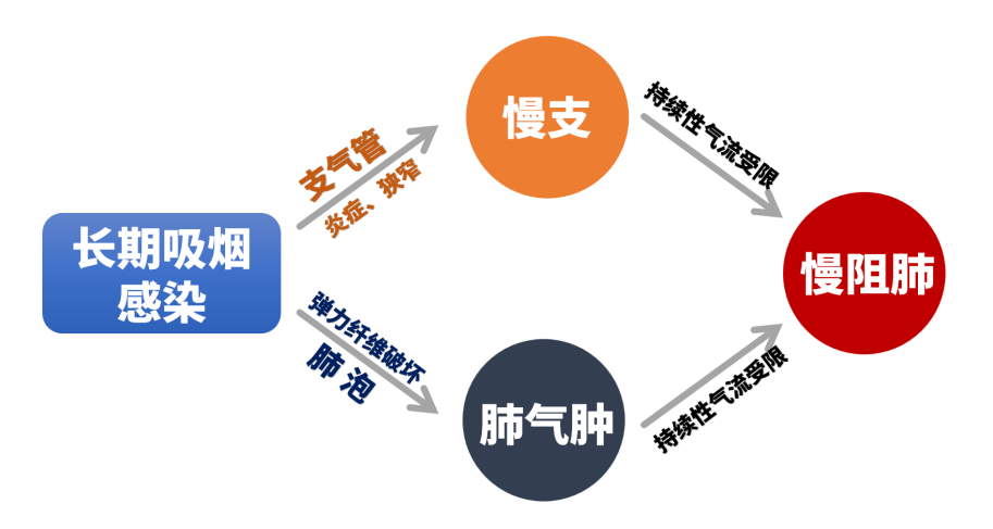 &#36125;&#21338;&#38598;&#22242;&#23448;&#32593;&#40;&#20013;&#22269;&#41;&#23448;&#26041;&#32593;&#31449;